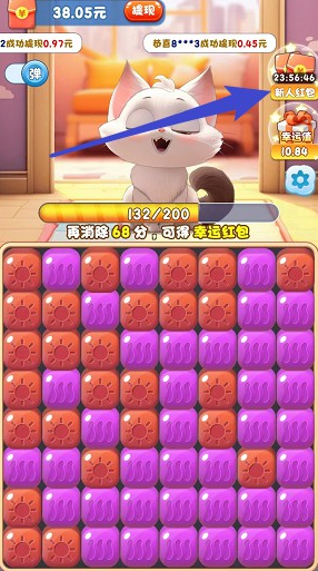猫咪公社0