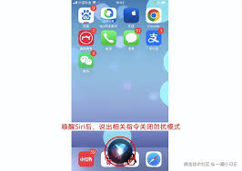 麦可app如何关闭夜间模式