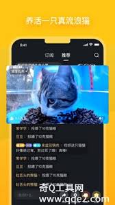 街猫app怎么搜索用户