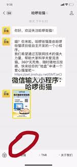 街猫app怎么搜索用户