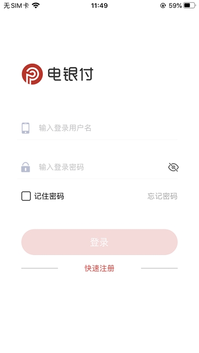 电银付正式版3