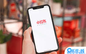 小红书wifi自动更新怎么关闭