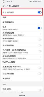 荣耀手机怎么打开开发者选项开启不锁定屏幕