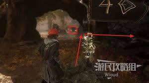 光与影33号远征队拾荒结怎么获取