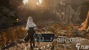 光与影33号远征队拾荒结怎么获取