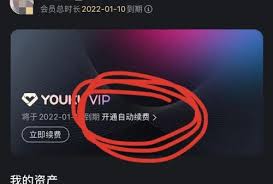 怎么在苹果手机上取消优酷会员自动续费
