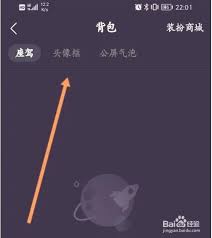 PP语音如何更换头像框