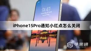 如何打开iPhone15Pro通知小红点