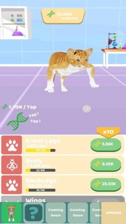 动物进化实验无限版0