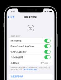 苹果手机打开面容支付了可是还是要密码