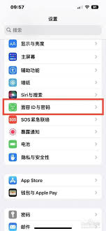 苹果手机打开面容支付了可是还是要密码