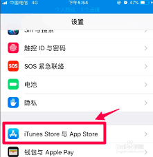 苹果怎么关闭优酷会员自动续费