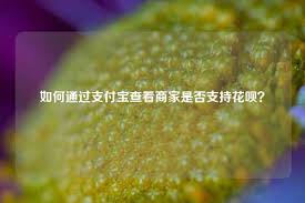 如何在支付宝里找到支持花呗的商家