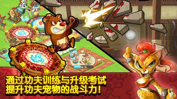 功夫宠物2