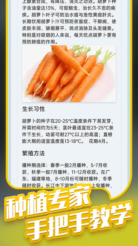 种菜专业户1