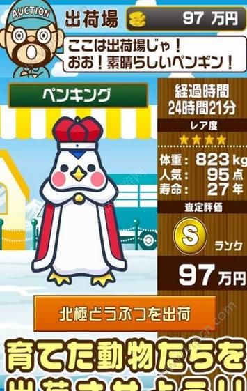北极动物园九游版3