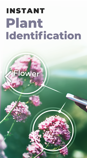 PlantSnap(PlantSnap植物识别)V3.01.25 安卓0
