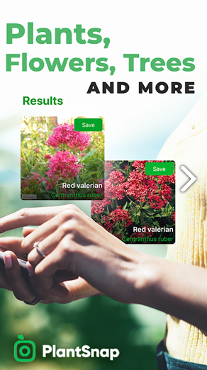 PlantSnap(PlantSnap植物识别)V3.01.25 安卓4