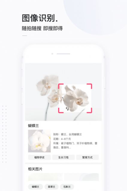 13813搜索1