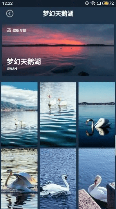 壁纸图片大师0