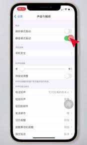 怎么关闭苹果手机震动感应功能