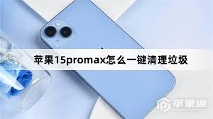 苹果15pro怎样一键清理垃圾