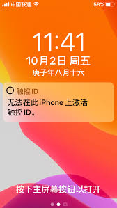 无法iphone上激活触控id屏幕无反应