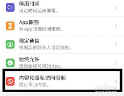 苹果手机访问限制怎么解除