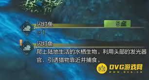 怪物猎人荒野如何捕捉闪灯鱼