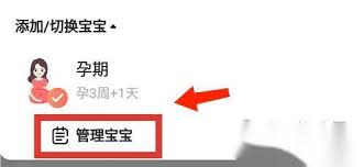 宝宝树孕育如何设置怀孕日期