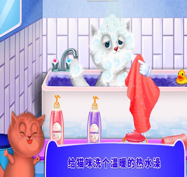 照顾小猫咪1