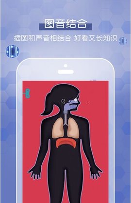 人体探秘1