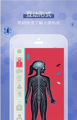 人体探秘2