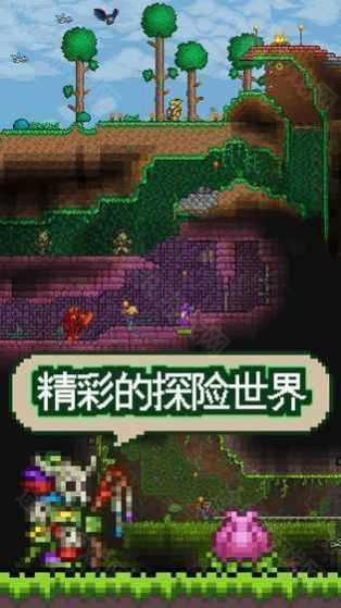 泰拉瑞亚官方版