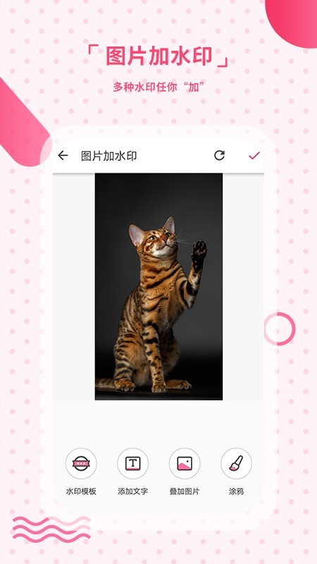 去水印相机3