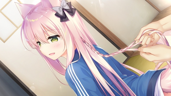 兽娘育成方案正式版1