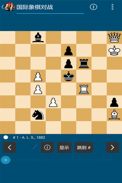 国际象棋对战3