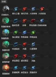 流放之路2狱术士纯招流Build怎么玩