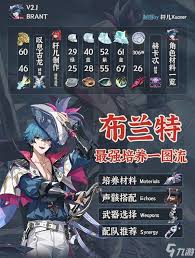 鸣潮布兰特如何进行顶级配队