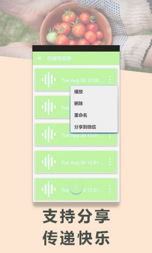 变声专家app1