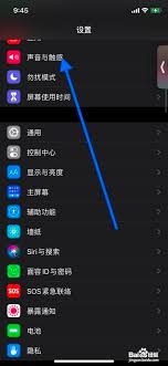 苹果手机铃声和震动一起怎么设置