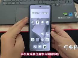 手机变黑白如何恢复色彩vivo
