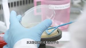 资源足够一个精英科学家特定液体的成分八年