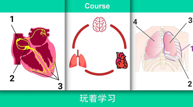真实医疗模拟器4