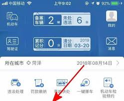 交管12123如何查询违章