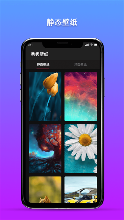 秀秀壁纸小助手2