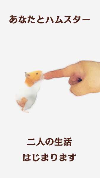 云仓鼠v3.40