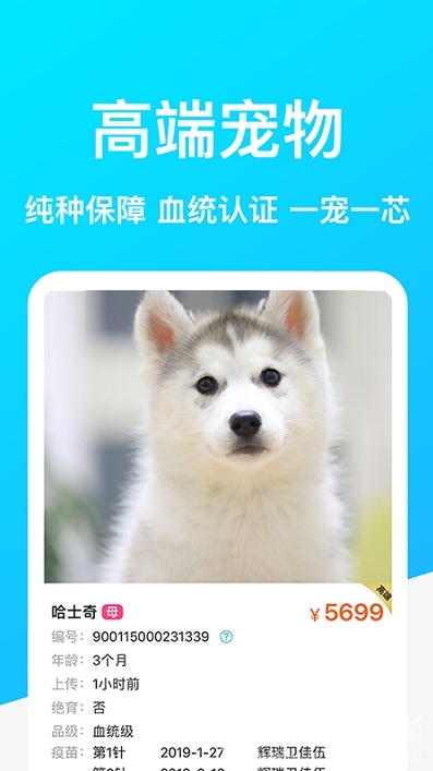 dog breeds1