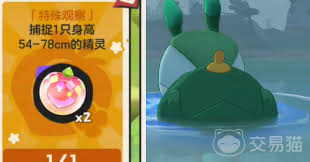 洛克王国世界可可果挂件怎么得