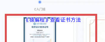 猿编程app如何查看证书